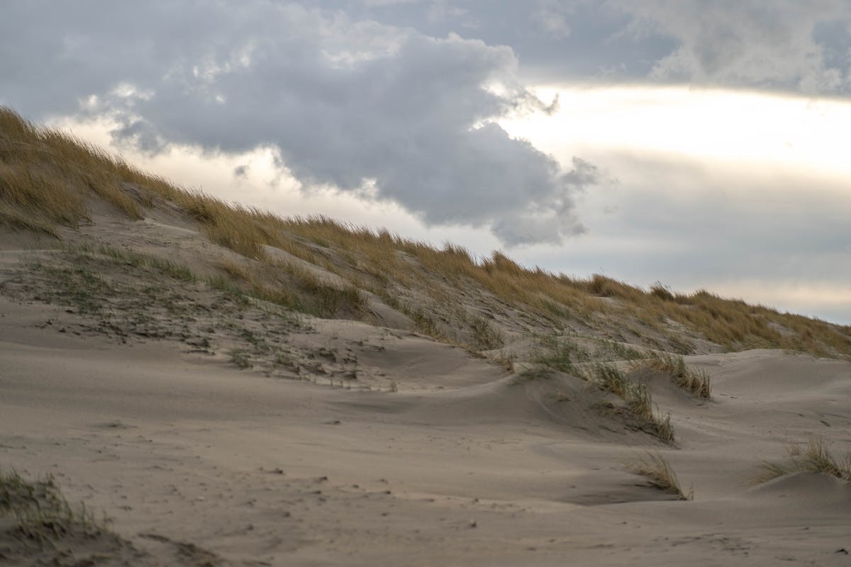 Sand dunes Wasaga Beach