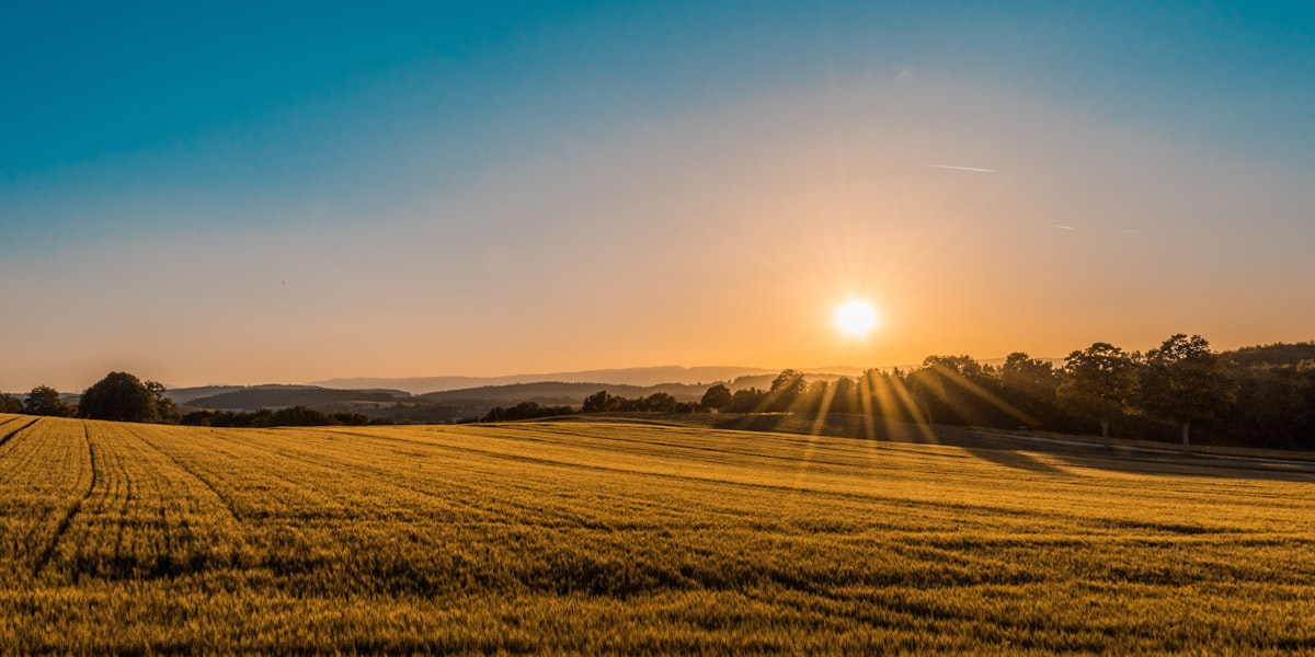 Sunset cruise Georgian Bay