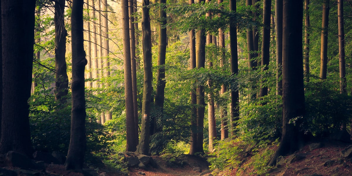 Hiking trails Wasaga Beach